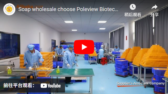 Soap wholesale choose Poleview Biotechnology Group Co., LTD