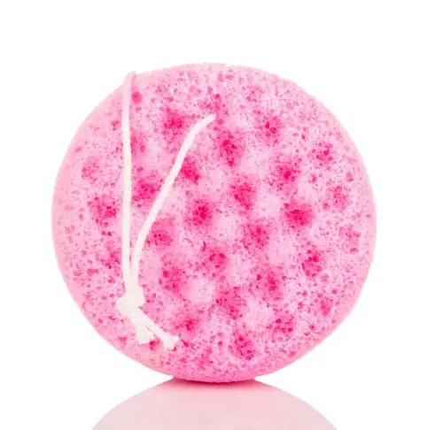 Soap Sponge